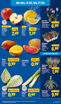 Pflanzen im Lidl Prospekt "LIDL LOHNT SICH" mit 70 Seiten (Recklinghausen)