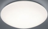LED-Deckenleuchte Angebote bei ROLLER Bautzen für 24,99 €
