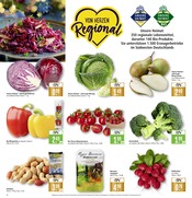 Paprika im Marktkauf Prospekt in Schorndorf Aktueller Marktkauf Prospekt mit Paprika, "Aktuelle Angebote", Seite 6