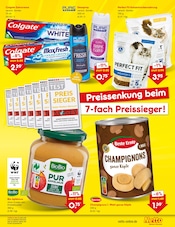 Katzenfutter im Netto Marken-Discount Prospekt in Memmingen Aktueller Netto Marken-Discount Prospekt mit Katzenfutter, "Aktuelle Angebote", Seite 7