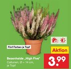 Aktuelle Zimmerpflanzen Angebote bei Netto Marken-Discount in Hamburg Aktuelles Besenheide High Five Angebot bei Netto Marken-Discount in Hamburg ab 3,99 €