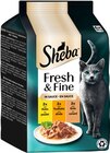 Fresh & Fine Angebote von Sheba bei REWE Aachen für 2,19 €