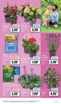 Gartenpflege im Lidl Prospekt "LIDL LOHNT SICH" mit 63 Seiten (Essen)