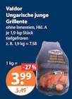 Ungarische junge Grillente im V-Markt Prospekt Ungarische junge Grillente von Valdor im aktuellen V-Markt Prospekt für 3,99 €