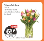Tulpen Rainbow bei V-Markt im Rottenburg Prospekt für 6,99 €