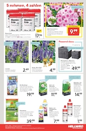 Gartenpflanzen Angebot im aktuellen Hellweg Prospekt auf Seite 15
