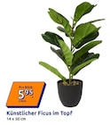 Aktuelle Zimmerpflanzen Angebote bei Action in Hamburg Aktuelles Künstlicher Ficus im Topf Angebot bei Action in Hamburg ab 5,95 €