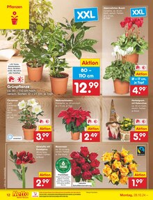 Blumen im Netto Marken-Discount Prospekt "Aktuelle Angebote" mit 57 Seiten (Saarbrücken)