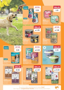 ZooRoyal Prospekt der KW 35 "20% AUF DEIN LIEBLINGS-TIERZUBEHÖR" Aktueller ZooRoyal Prospekt "20% AUF DEIN LIEBLINGS-TIERZUBEHÖR" Seite 2 von 8 Seiten