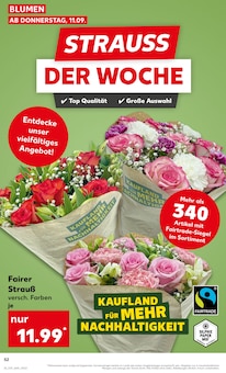 Blumen im Kaufland Prospekt "Aktuelle Angebote" mit 59 Seiten (Aachen)