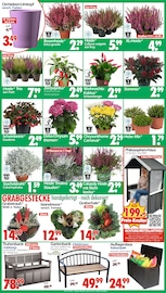 Blumentopf im Wreesmann Prospekt in Cuxhaven Aktueller Wreesmann Prospekt mit Blumentopf, "DEIN SAISON- & SONDERPOSTENMARKT!", Seite 3