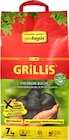 Grill-Holzkohlebriketts „Grillis“ Angebote bei BayWa Bau- und Gartenmärkte Ansbach für 18,99 €