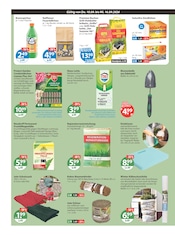 Ähnliche Picknickdecke Angebote im Prospekt "V-Markt einfach besser einkaufen" von V-Markt in Regensburg Ähnliche Angebote wie Picknickdecke im Prospekt "V-Markt einfach besser einkaufen" auf Seite 16 von V-Markt in Regensburg