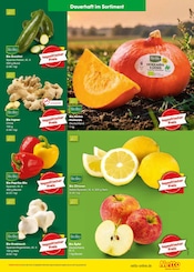 Äpfel im Netto Marken-Discount Prospekt in Brühl Aktueller Netto Marken-Discount Prospekt mit Äpfel, "Aktuelle Angebote", Seite 9