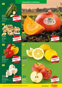 Ingwer im aktuellen Netto Marken-Discount Prospekt (Bonn) Ingwer im Netto Marken-Discount Prospekt "Aktuelle Angebote" mit 70 Seiten (Bonn)