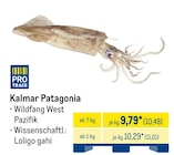 METRO Lübben - Kalmar Patagonia Angebot im Prospekt Kalmar Patagonia bei METRO im Lübben Prospekt für 10,48 €