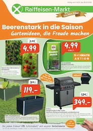 Baumärkte Prospekt von Raiffeisen Rhein-Ahr-Eifel Handelsgesellschaft mbH in Rittersdorf Aktueller Raiffeisen Rhein-Ahr-Eifel Handelsgesellschaft mbH Baumärkte Prospekt für Rittersdorf: Beerenstark in die Saison mit 8 Seiten, 14.03.2026 - 28.03.2026