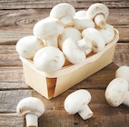 Intermarché Saint-Germain-la-Gâtine - Promo Champignon blanc Promo Champignon blanc à 1,75 € dans le catalogue Intermarché à Saint-Germain-la-Gâtine