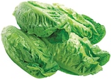Aktuelles Roma Salatherzen Angebot bei REWE in Pforzheim ab 1,19 €