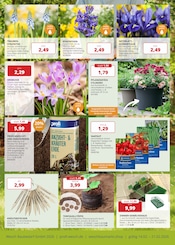 Aktueller PROFI Wesch Prospekt mit Gartenerde, "KOMPETENT. PERSÖNLICH. REGIONAL.", Seite 7