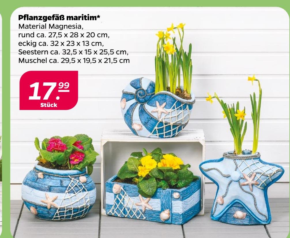 Pflanzgefäß maritim