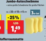 Jumbo-Autoschwämme Angebote bei Thomas Philipps Mainz für 1,49 €