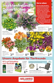 Deko im Hellweg Prospekt in Siegen Aktueller Hellweg Prospekt mit Deko, "Die Profi-Baumärkte", Seite 24