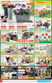 Aktueller Norma Prospekt mit Tierfutter, "Mehr fürs Geld", Seite 5