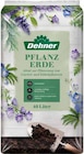 Pflanzerde im Angebot bei Dehner Garten-Center in Straubing Pflanzerde Angebote von Dehner bei Dehner Garten-Center Straubing für 6,99 €