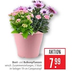 Beet- und Balkonpflanzen Angebote bei Marktkauf Aschaffenburg für 7,99 €