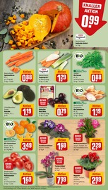 Blumen im REWE Prospekt in Moers Aktueller REWE Prospekt mit Blumen, "Dein Markt", Seite 7