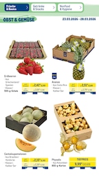 METRO Ananas im Prospekt 