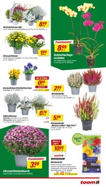 Aktueller toom Baumarkt Prospekt mit Blumenerde, "Respekt, wer's selber macht.", Seite 3