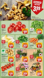 Tierfutter im REWE Prospekt in Hanau Aktueller REWE Prospekt mit Tierfutter, "Dein Markt", Seite 11