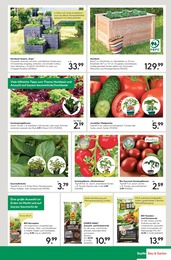 Gartenbaustoffe im BayWa Bau- und Gartenmärkte Prospekt "Hier bin ich gern" auf Seite 19