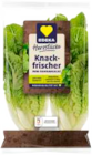 Mini Romana Salat bei EDEKA Frischemarkt im Großensee Prospekt für 0,88 €