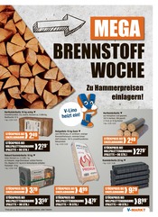 Kamin im V-Markt Prospekt in Regensburg Aktueller V-Markt Prospekt mit Kamin, "V-Markt einfach besser einkaufen", Seite 19