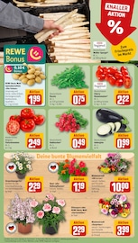 Pflanzen im REWE Prospekt in Kaarst Aktueller REWE Prospekt mit Pflanzen, "Dein Markt", Seite 7