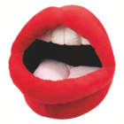 MAISON MIAOU BOUCHE ROUGE POUR CHATS - coockoo dans le catalogue Animalis