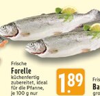 Frische Forelle Angebote bei EDEKA Kempen für 1,89 €