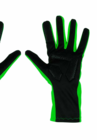 Rad-Handschuhe Angebote von CRANE bei ALDI Nord Witten für 4,99 €