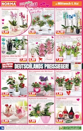 Aktueller Norma Prospekt mit Orchidee, "Mehr fürs Geld", Seite 16