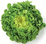 Promo Feuille de chêne blonde à 1,29 € dans le catalogue Supermarchés Match à Halluin