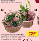 Hortensie im Korb Angebote bei toom Baumarkt Hattingen für 12,99 €