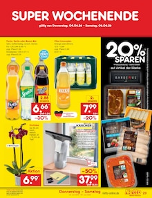 Pflanzen im aktuellen Netto Marken-Discount Prospekt (Bremen) Pflanzen im Netto Marken-Discount Prospekt "Aktuelle Angebote" mit 66 Seiten (Bremen)