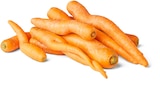 Penny Veitshöchheim - Bio-Möhren Angebot im Prospekt Bio-Möhren bei Penny im Veitshöchheim Prospekt für 1,19 €