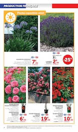 Offre Collection dans le catalogue Hyper U du moment à la page 4