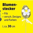 Blumenstecker für 1,00 € bei Thomas Philipps im Angebot Blumenstecker im aktuellen Thomas Philipps Prospekt