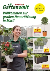 Pflanzen im toom Baumarkt Prospekt in Haltern am See Aktueller toom Baumarkt Prospekt mit Pflanzen, "Willkommen zur großen Neueröffnung!", Seite 1