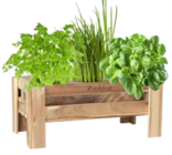 Mini-Hochbeet für 12,99 € bei Pflanzen Kölle im Angebot Mini-Hochbeet im aktuellen Pflanzen Kölle Prospekt